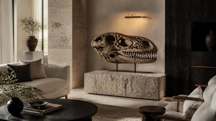 Decorating with Fossils: Displaying Natural History at Home