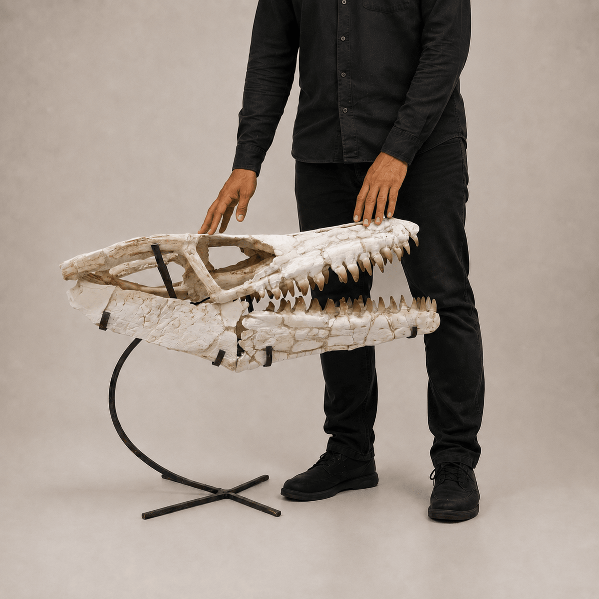 Authentic Mosasaur Skull Fossil, 66 cm with Stand – Morocco – AD-MSK-0066 - PaleoDeserts