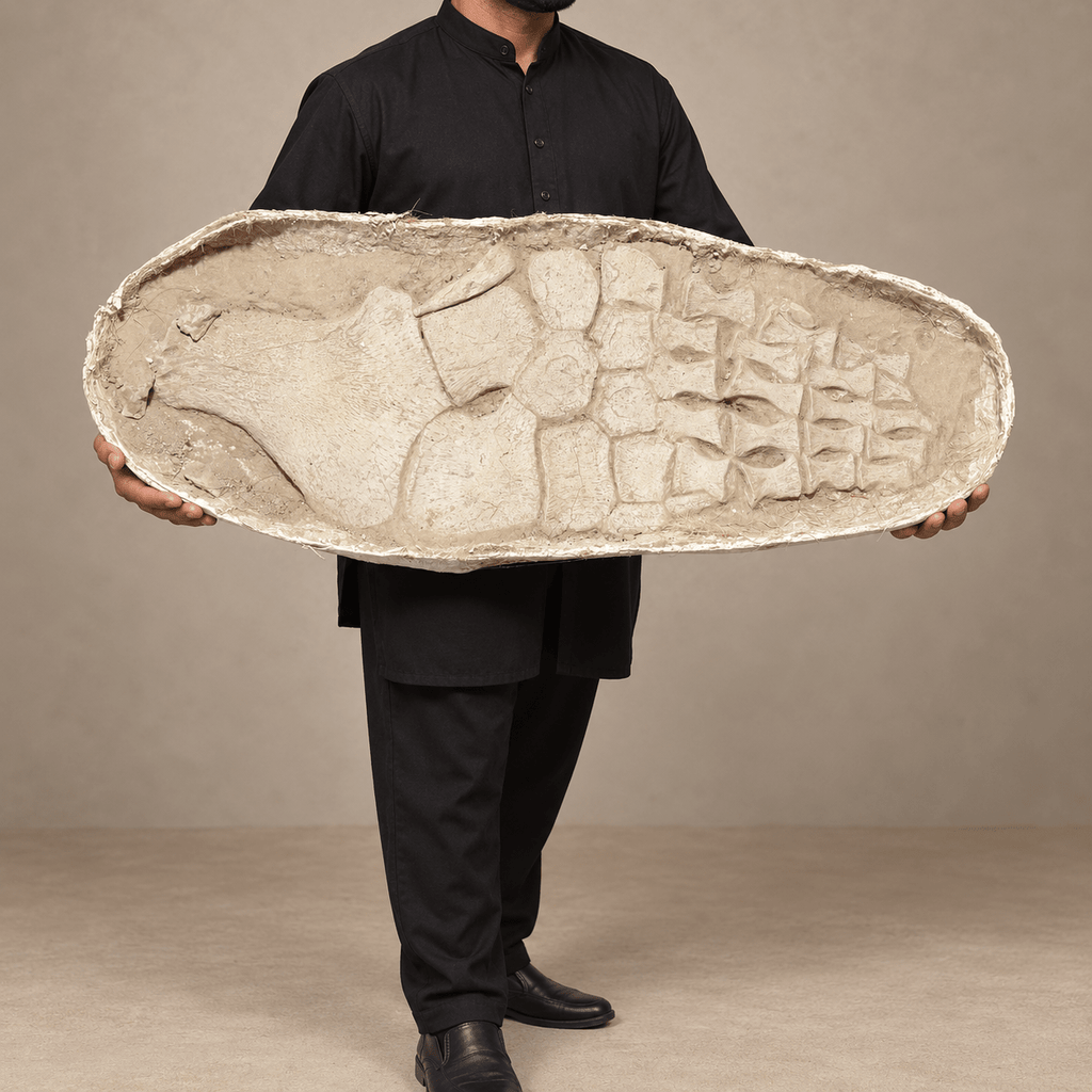 Huge Original Zarafasaura oceanis Plesiosaur Paddle – 105 cm - PaleoDeserts