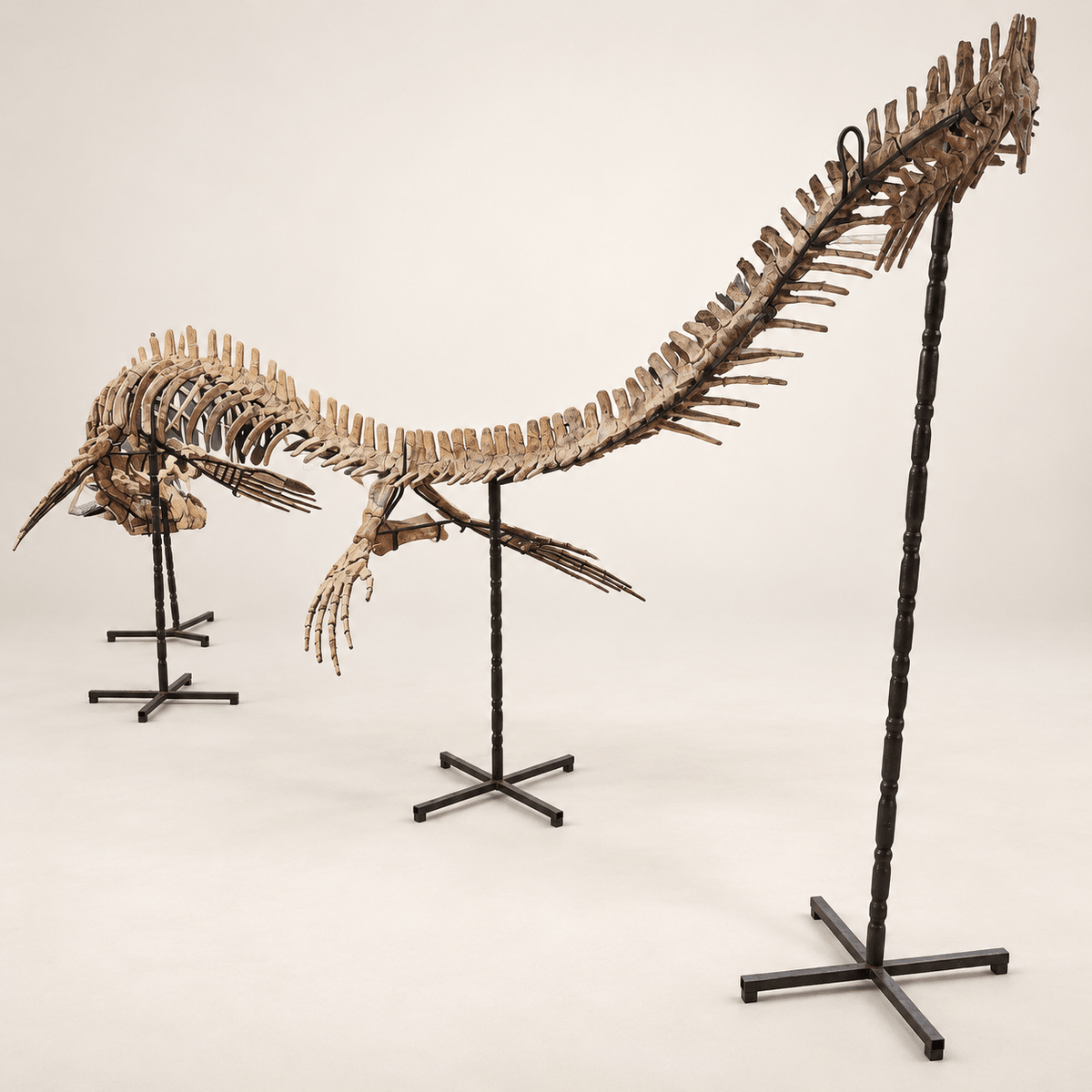 Monster Mosasaur Skeleton Authentic Fossil Cretaceous Dinosaur , 6 m Display – PD-TMS-0600 - PaleoDeserts