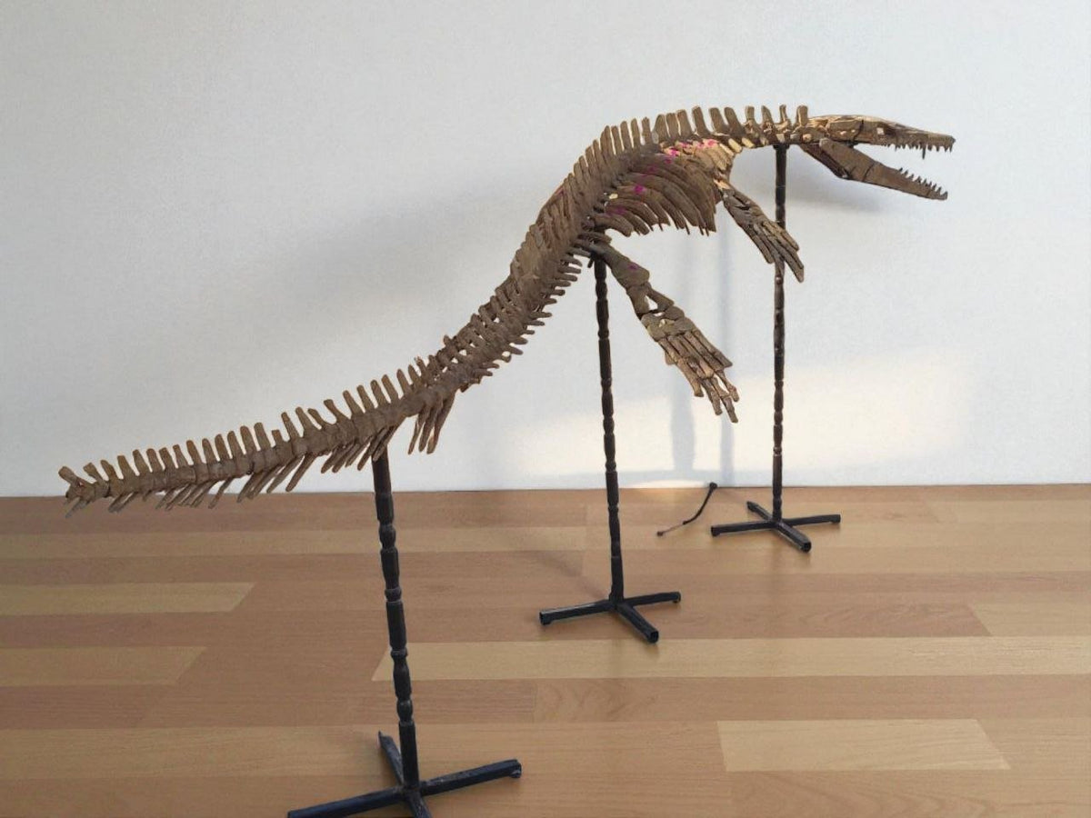 prognathodon sp. Skeleton Fossil, 3.3 m – AD-17434 - PaleoDeserts