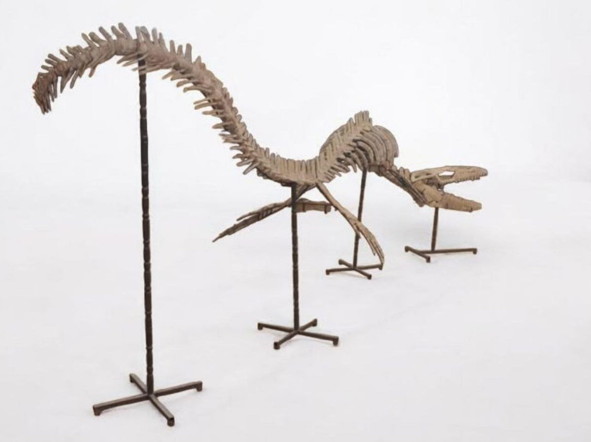 Thalassotitan Atrox Skeleton Fossil, 6 m – AD-17266 - PaleoDeserts