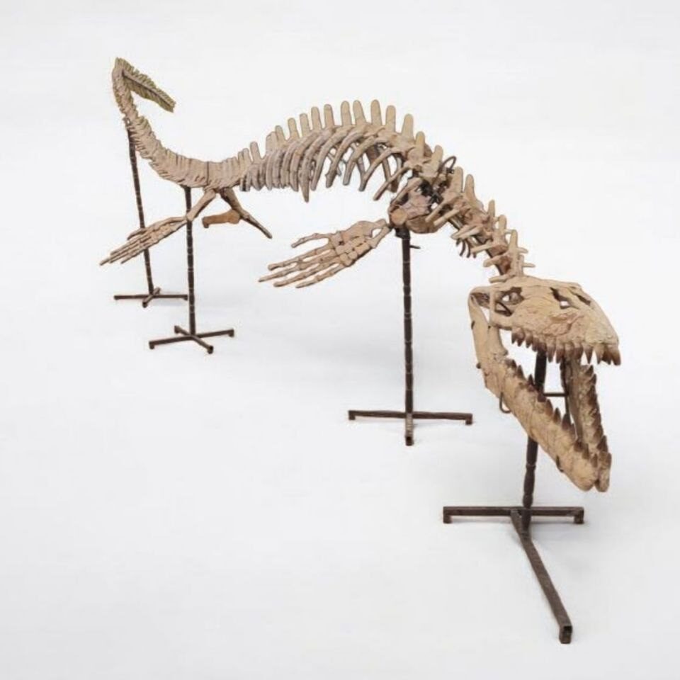 Thalassotitan Atrox Skeleton Fossil, 6 m – AD-17266 - PaleoDeserts