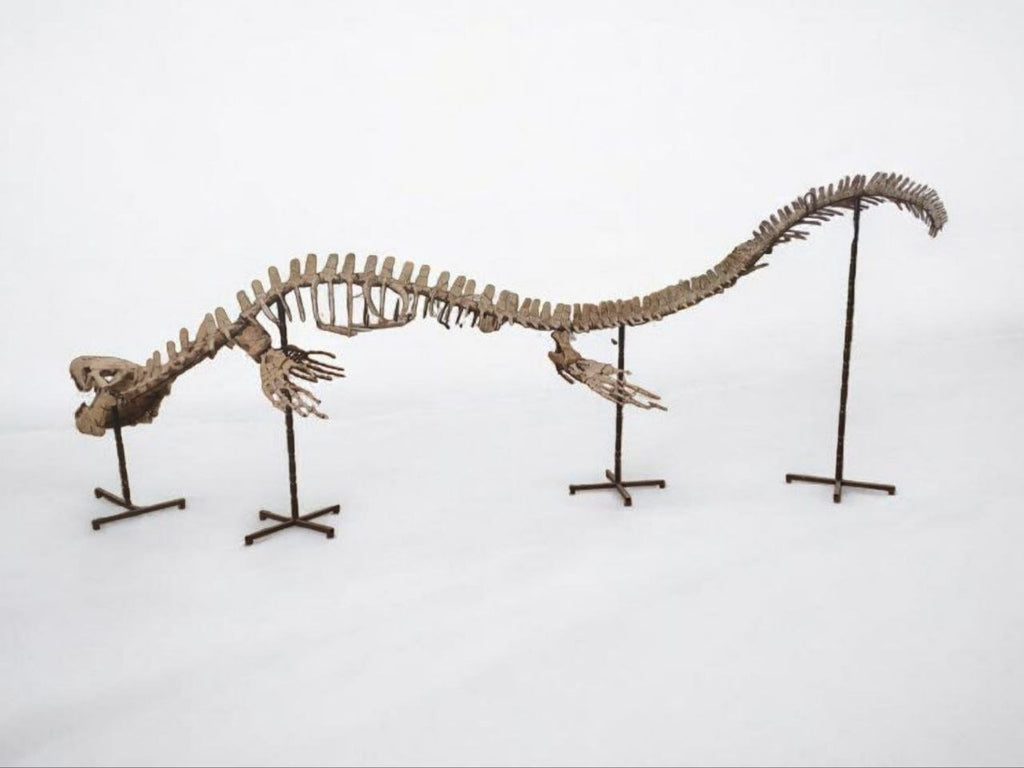 Thalassotitan Atrox Skeleton Fossil, 6 m – AD-17266 - PaleoDeserts